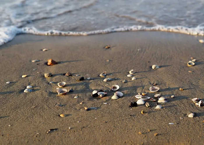 Daire Lovely Beachside Flat With A Luminous Terrace